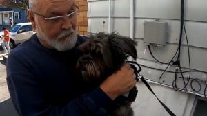 Illustration : Un homme apprenant à sa sortie d'hôpital que son chien a été donné se bat pendant des mois pour le récupérer