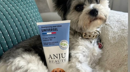 Illustration : Le shampooing universel et le spray nettoyant sans rinçage Anju Beauté font l’unanimité chez les testeurs de Pets Genius