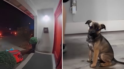 Illustration : Un homme cagoulé dépose un chiot devant la porte d’une maison et s’enfuit en courant (vidéo)