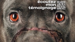 Illustration : "La campagne de sensibilisation choc de l'association Action Protection Animale qui donne la parole aux chiens victimes de cruauté"