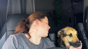 Illustration : « J'ai mon chien, c’est ça la vie pour moi » : elle habite dans son camion avec sa meilleure amie canine