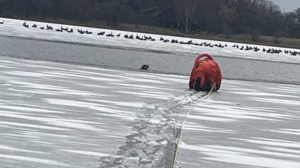 Illustration : Un chien piégé par la glace déclenche héroïque d'un policier vêtu d'une combinaison spéciale