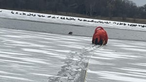 Illustration : "Un chien piégé par la glace déclenche héroïque d'un policier vêtu d'une combinaison spéciale"