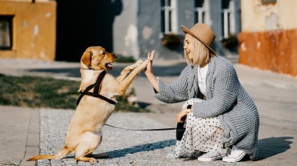 Illustration : Faire garder son chien ou préserver son budget ? Ce dilemme n’en est plus un grâce à Emprunte mon Toutou