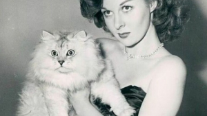 Illustration : 20 photos anciennes de chats, prenant la pose avec des personnages célèbres ou non
