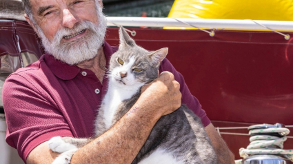 Illustration : Ce chat s'apprête à entrer dans l'histoire des courses nautiques en prenant part à une célèbre régate de 1200 km