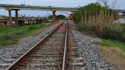 Illustration : Le sauvetage angoissant d’un Labrador coincé sur une voie ferrée tandis qu’un train approche