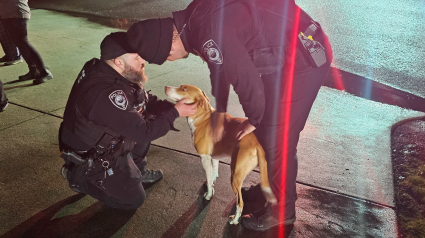 Illustration : Alors qu’un incendie se déclare chez son voisin, cette chienne croisée Labrador/Berger Australien a une réaction héroïque