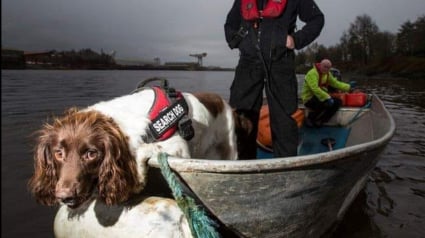 Illustration : Découvrez Barra, le seul chien renifleur sous-marin d’Écosse ayant passé plus de 10 ans de sa vie à repérer les victimes d'une rivière