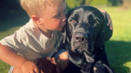 Illustration : Un bébé apprend à marcher, s’asseoir et même dire « je t’aime » grâce au chien de la famille