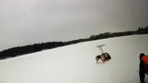 Illustration : Une chienne devient littéralement la bouée de sauvetage de son maître pris au piège dans un lac gelé (vidéo)