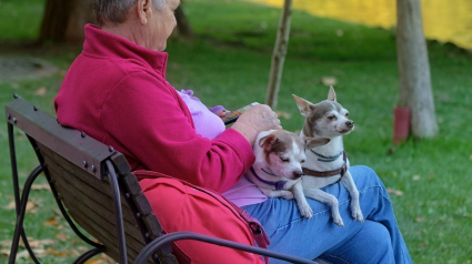 Illustration : Une femme fortunée propriétaire de chiens et de chats surprend sa famille par le contenu de son testament