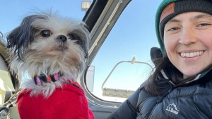 Illustration : "Comme cette adorable chienne Shih Tzu, des centaines d’animaux en détresse trouvent un refuge chaque année grâce à la générosité de pilotes d’avion bénévoles"