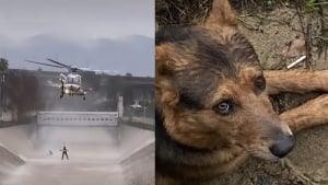 Illustration : L'intervention spectaculaire des secours pour un chien et son maître tombés dans une rivière déchaînée