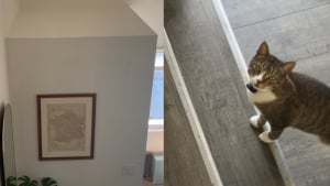 Illustration : "Ce chat a droit à son propre salon inspiré de celui de ses propriétaires et il a de quoi faire des jaloux (vidéo)"
