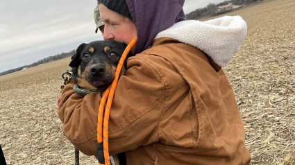 Illustration : La fugue d'un chien malvoyant et au passé douloureux affecte sa maîtresse mais mobilise la communauté