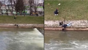 Illustration : Un chien piégé par les eaux froides et tumultueuses d'une rivière réalise qu'il peut encore s'en sortir en voyant 2 personnes approcher