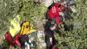 Illustration : "Un chien tombé dans une cavité rocheuse mobilise pompiers et spéléologues secouristes durant plusieurs jours"