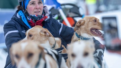 Illustration : Entretien avec la musheuse Elsa Borgey : « Mes chiens sont mes amis, mes confidents et mes partenaires d’aventures »