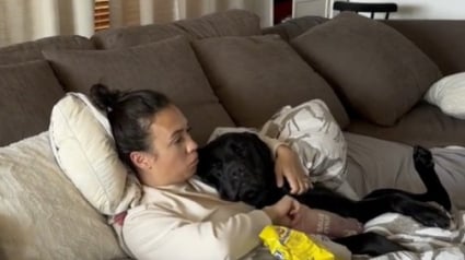 Illustration : Une femme prend crée une journée spéciale pour rester aux côtés de son Labrador souffrant (vidéo)