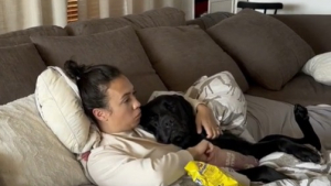 Illustration : "Une femme prend crée une journée spéciale pour rester aux côtés de son Labrador souffrant (vidéo)"