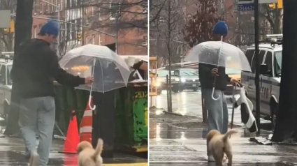 Illustration : Un jeune homme protégeant son chiot Golden Retriever d’une averse avec un parapluie séduit de nombreuses femmes bien décidées à le retrouver (vidéo)