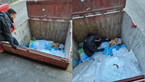 Illustration : Ils découvrent un chien dans une benne à ordures et apprennent qu'il s'est échappé 6 mois plus tôt