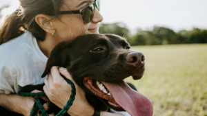 Illustration : "Pour célébrer la Journée mondiale du bonheur, Emprunte Mon Toutou livre le secret pour vivre heureux avec son chien"