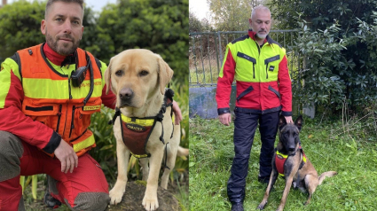 Illustration : 2 chiens pompiers unissent leurs talents dans une course contre la montre pour retrouver un quinquagénaire disparu depuis des heures