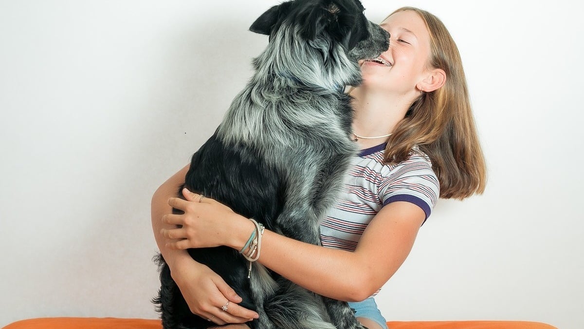 Illustration : "Kobaka, une opportunité pour vous, amoureux des chiens et chats, de transformer votre passion en source de revenus"