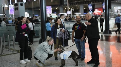 Illustration : Cet aéroport international a embauché 5 nouvelles recrues à 4 pattes pour leur confier une mission spéciale auprès de certains passagers (vidéo)