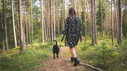 Illustration : A partir de ce lundi 15 avril, promener votre chien en forêt sans laisse pourrait vous coûter cher