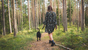 Illustration : A partir de ce lundi 15 avril, promener votre chien en forêt sans laisse pourrait vous coûter cher