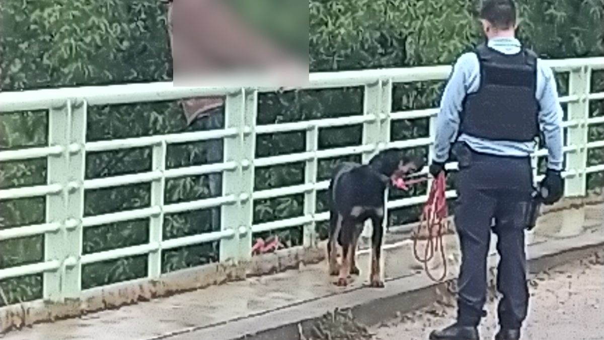 Illustration : "Un homme désemparé s’apprête à commettre l’irréparable, mais recule en voyant son chien avec les gendarmes"