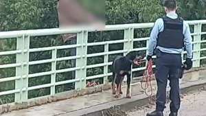 Illustration : Un homme désemparé s’apprête à commettre l’irréparable, mais recule en voyant son chien avec les gendarmes