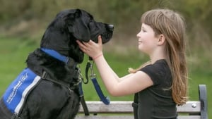 Illustration : "Une jeune fille autiste se mettait constamment en danger jusqu’à ce qu’un chien d’assistance entre dans sa vie"