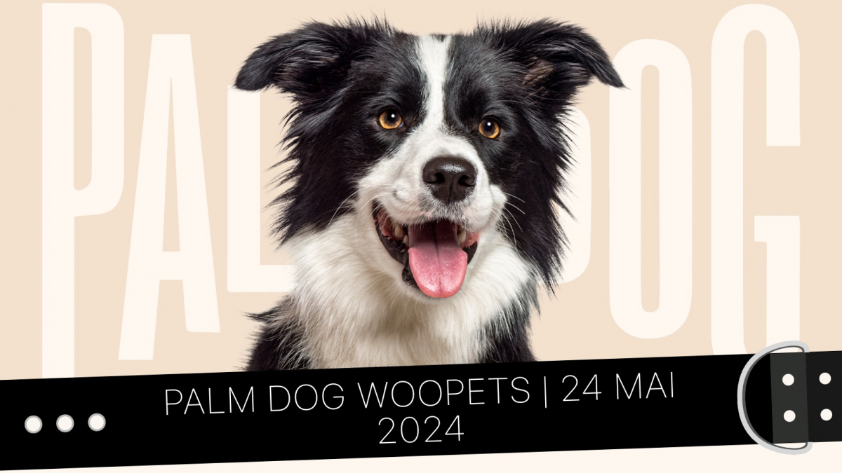 Illustration : "À l'occasion du Festival de Cannes, quel chien remportera la prestigieuse Palm Dog Woopets en 2024 pour son jeu d'acteur mémorable ?"