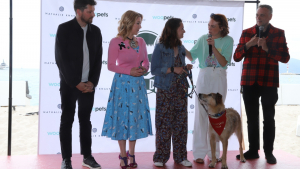 Illustration : "Kodi, acteur canin du film « Le Procès du chien » réalisé par Laetitia Dosch, remporte la Palm Dog Woopets 2024"