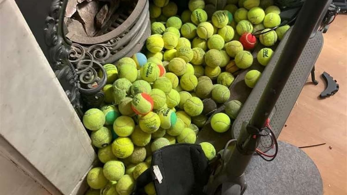 Illustration : "L’impressionnante collection de balles d’un chien, qui les récupère quotidiennement près d’un terrain de tennis"