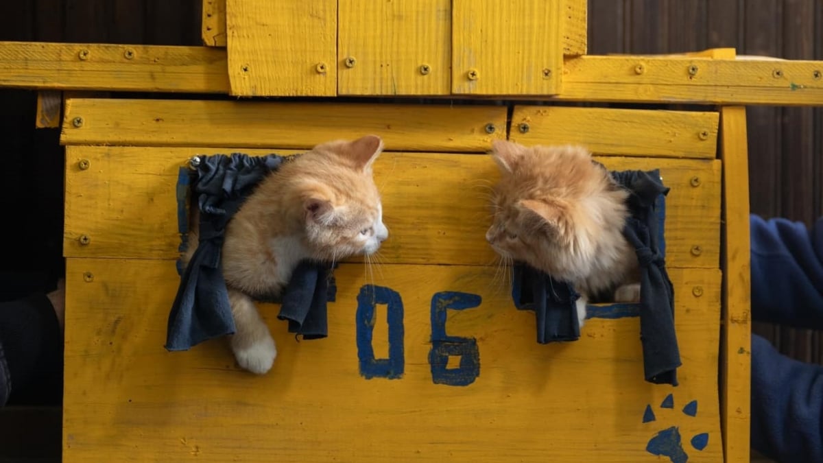 Illustration : "Pour assurer la relève de sa mascotte bien-aimée, un atelier de maintenance ferroviaire forme une belle équipe de chats roux"