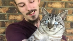 Illustration : Ravi de retrouver son chat perdu, un couple découvre lors d’un examen vétérinaire que le félin a frôlé le pire 