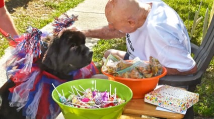 Illustration : Pour les 95 ans de son père, une femme organise une surprise inoubliable avec une parade des chiens de son quartier