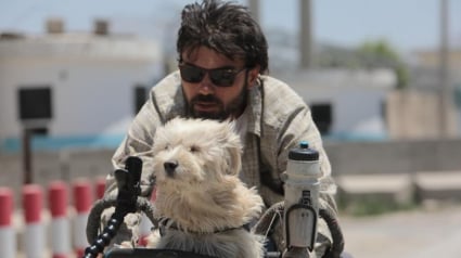 Illustration : Un globe-trotteur à vélo fait la rencontre d’une petite boule de poils qui le suit maintenant dans tous ses voyages