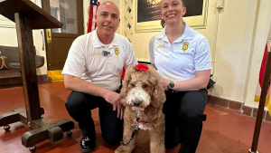 Illustration : "Cette chienne de thérapie a réconforté un nombre incalculable de victimes et de pompiers a droit à une promotion bien méritée "