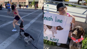 Illustration : "Ce chien partenaire d'entraînement émeut sa maîtresse en la rejoignant avant la ligne d'arrivée d'un marathon (vidéo)"