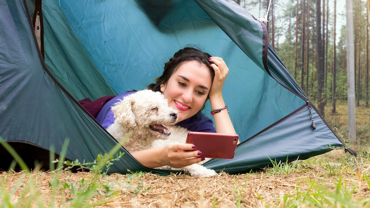 Illustration : "Partir en vacances au camping avec votre chien, nos conseils pour un séjour réussi"