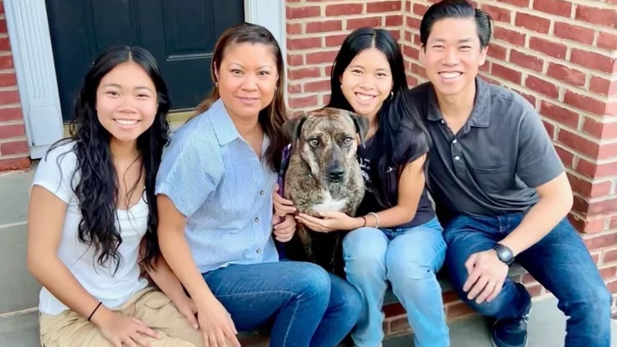 Illustration : "Après 3 adoptions ratées, cette chienne trouve enfin sa famille pour toujours"