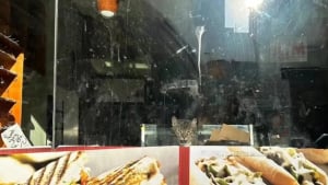 Illustration : Intrigués par la présence d’une chatte dans une épicerie fermée, des passants enquêtent et découvrent qu'elle était enfermée