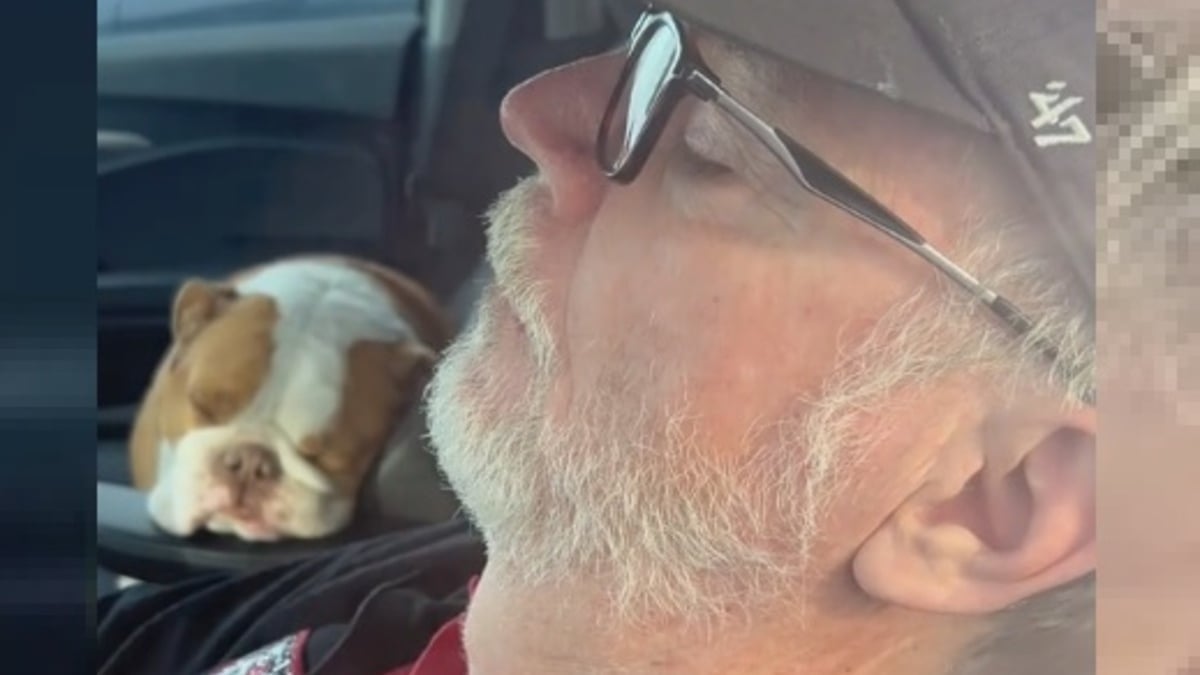Illustration : "Un homme surpris en pleine sieste avec son chien au lieu de le promener confirme les doutes de sa femme (vidéo)"