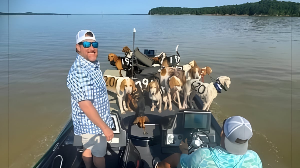 Illustration : "Partis pêcher sur un lac, ils découvrent 38 chiens de chasse perdus au milieu de l’eau et décident de les embarquer sur leur bateau"